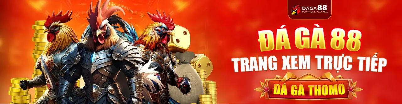 Đá gà trực tiếp tại ff168 link vào 2026, sân đấu sôi động, trải nghiệm cá cược đỉnh cao